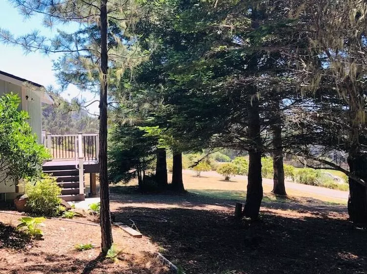 Hotelli Seafoam Lodge