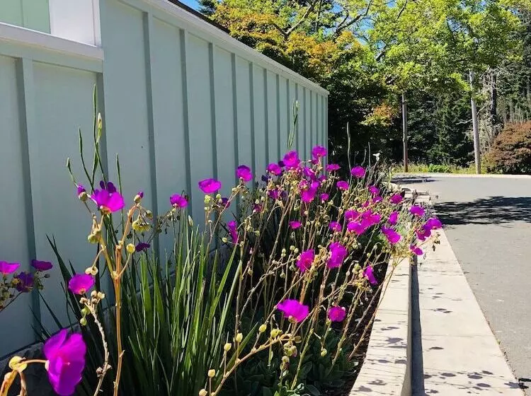 Hotelli Seafoam Lodge