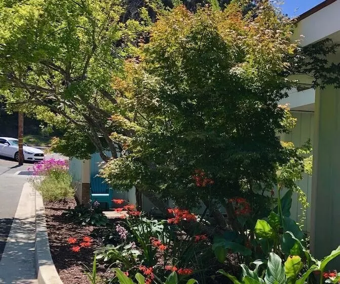 Hotelli Seafoam Lodge