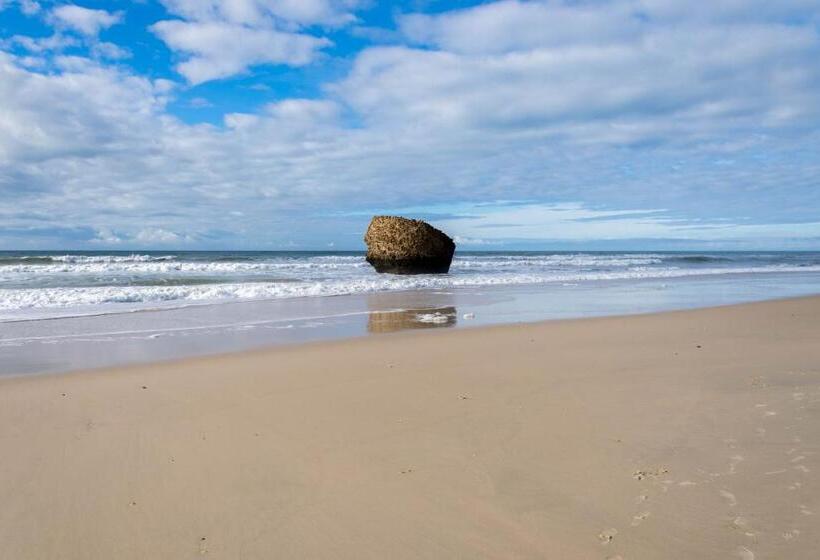 Apartamento Los Naranjos