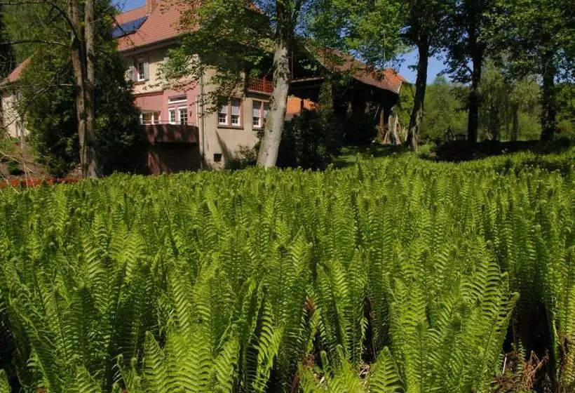 Ferienwohnungen Reichholdsmühle