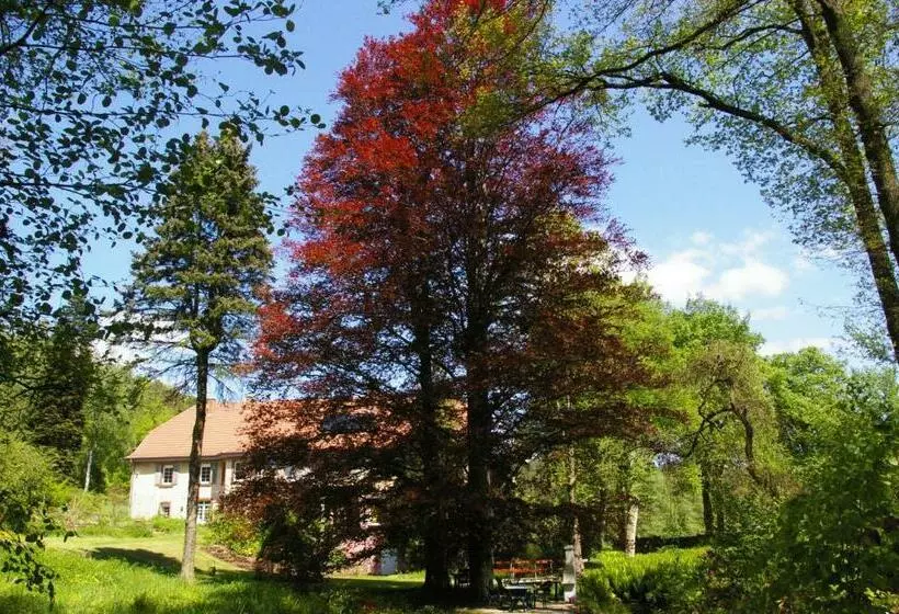 Ferienwohnungen Reichholdsmühle