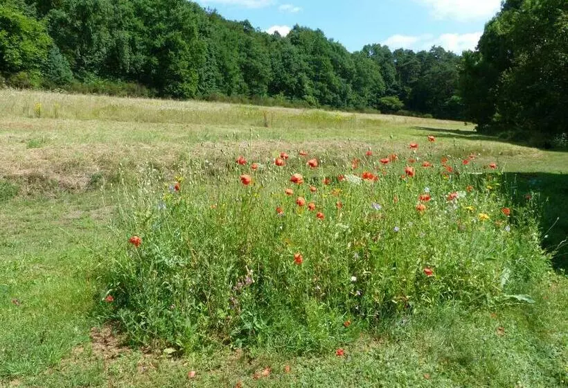 Ferienwohnungen Reichholdsmühle