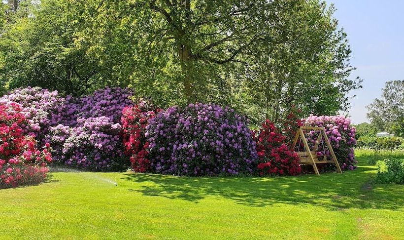 Ferienwohnungen Tewes