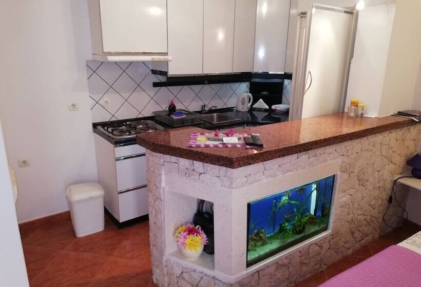 M & J Central Suites