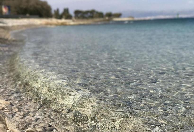 Apartment Dot Deluxe