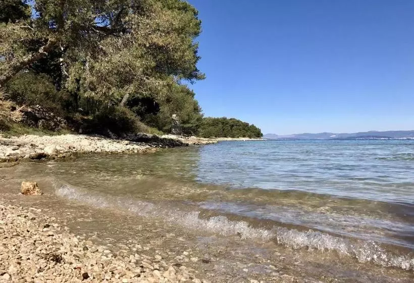 Apartment Dot Deluxe