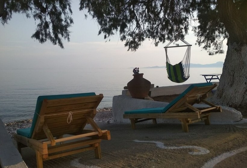 بنسيون House On The Wave