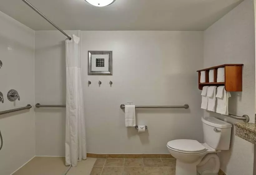 酒店 Hampton Inn Birmingham/mountain Brook