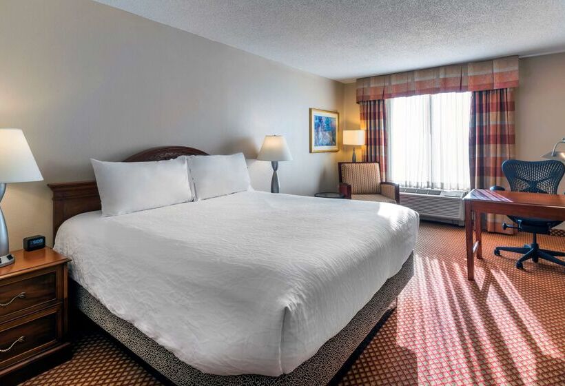 فندق Hilton Garden Inn Denver Airport