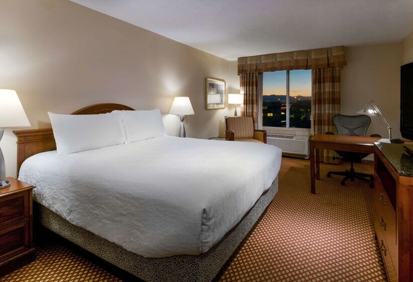 فندق Hilton Garden Inn Denver Airport
