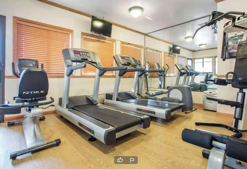 ホテル La Quinta Inn & Suites By Wyndham South Holland