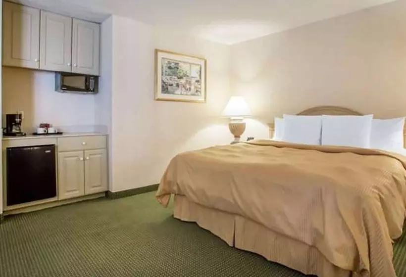 ホテル La Quinta Inn & Suites By Wyndham South Holland