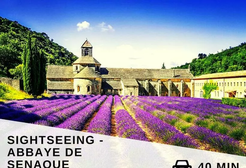 Appartement  Le Petit Avignonnais Magnanens Intramuros