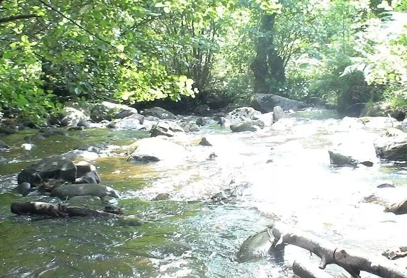 Country Retreats At Butterstone