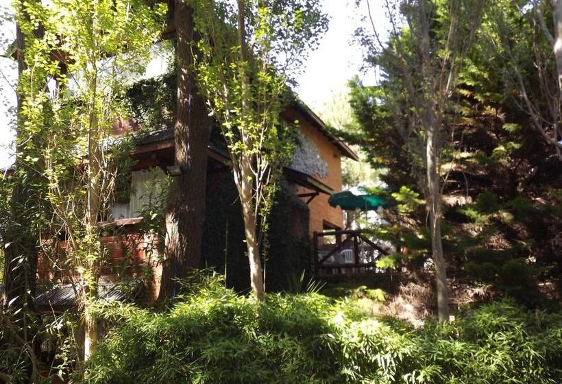 Hostal Complejo Aroma S