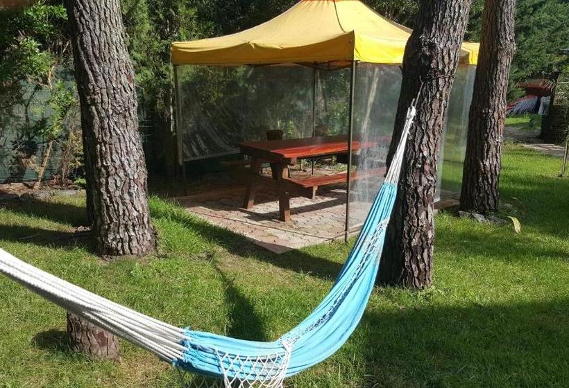 Hostal Complejo Aroma S