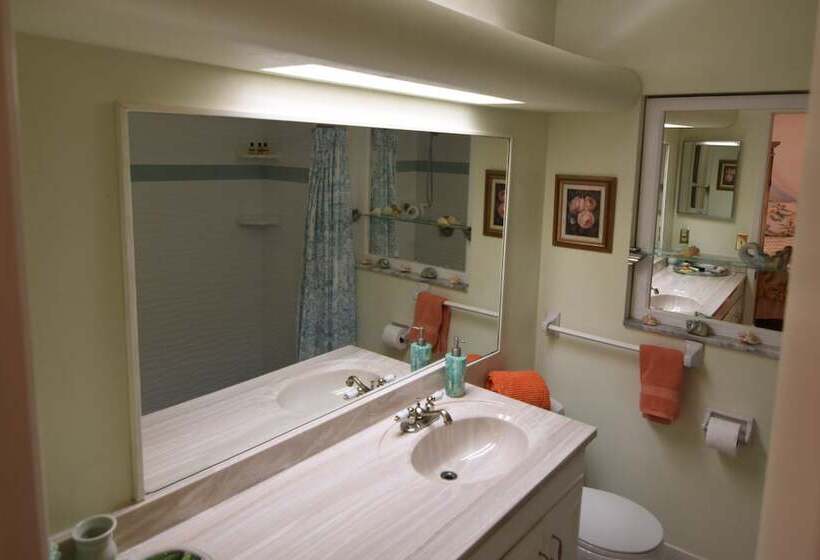 Oasis At John S Pass Madeira Beach