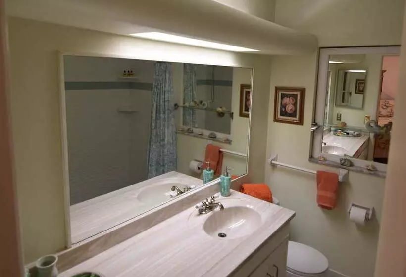 Oasis At John S Pass Madeira Beach