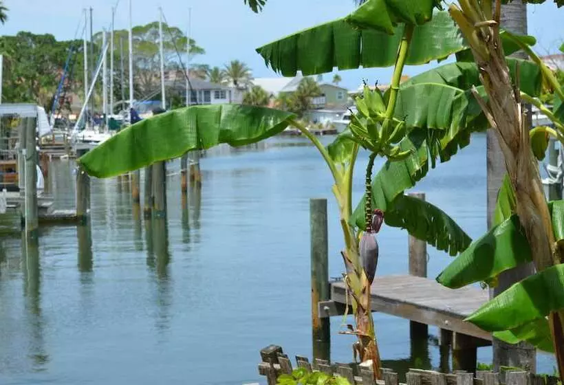 Oasis At John S Pass Madeira Beach