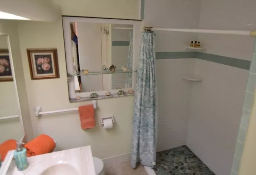 Oasis At John S Pass Madeira Beach