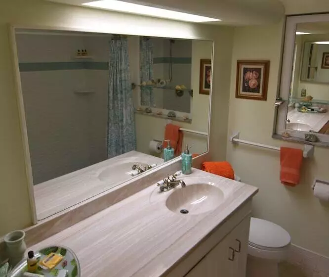 Oasis At John S Pass Madeira Beach