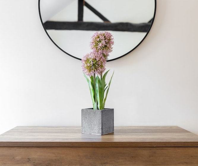 Suite On The High Street