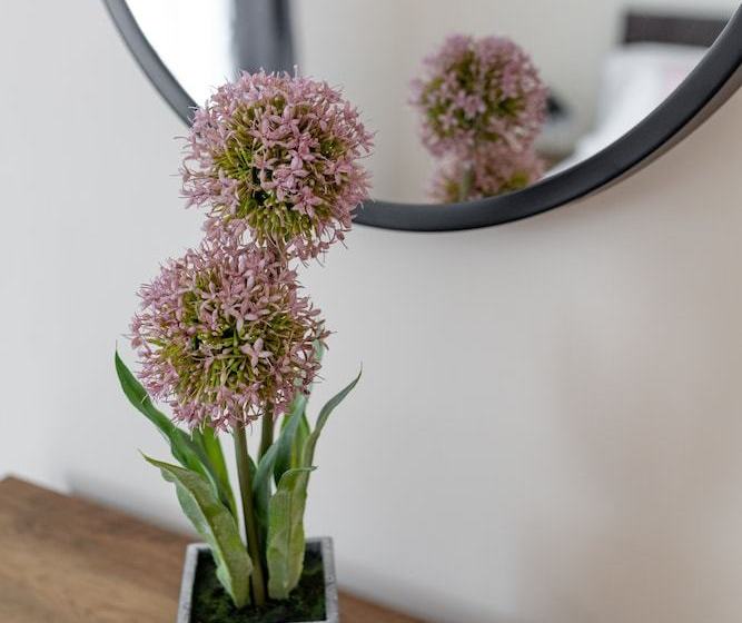 Suite On The High Street