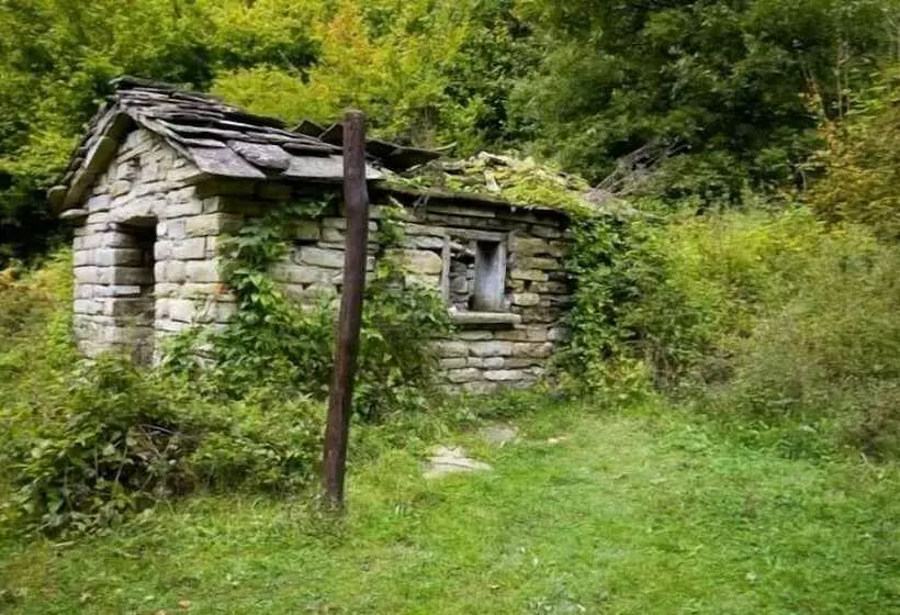 High Bickington Forest View 2 Bedrooms