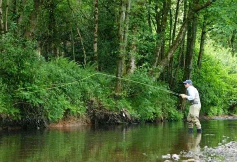 High Bickington Forest View 2 Bedrooms