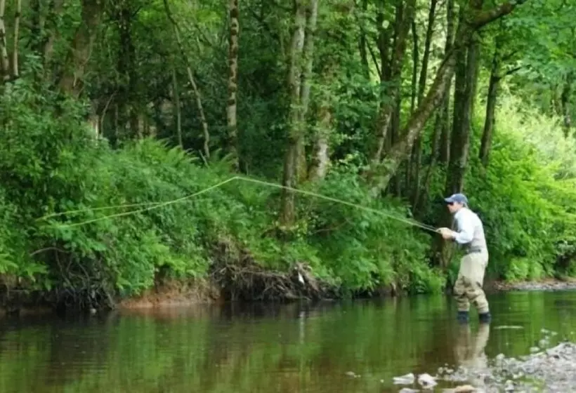 High Bickington Forest View 2 Bedrooms