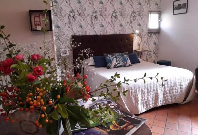 Appart Louis Blanc Centre Ville