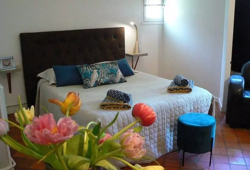 Appart Louis Blanc Centre Ville