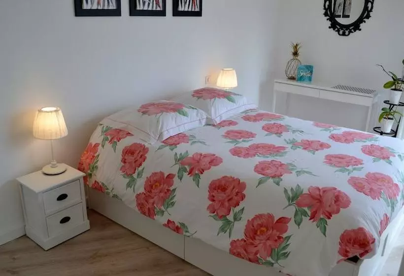 Gite Vue Mer  Near Plage Du Liouquet