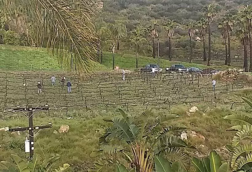 Sunshine Mountain Bed And Breakfast