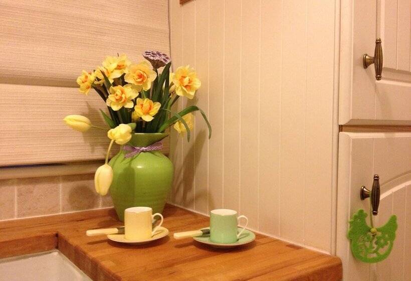 Snowdonia Snug   Studio Style Accommodation