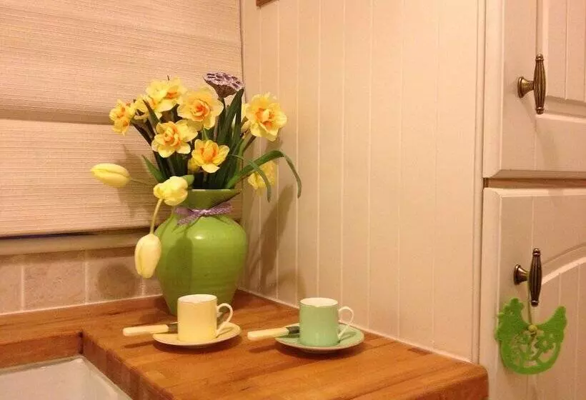 Snowdonia Snug   Studio Style Accommodation