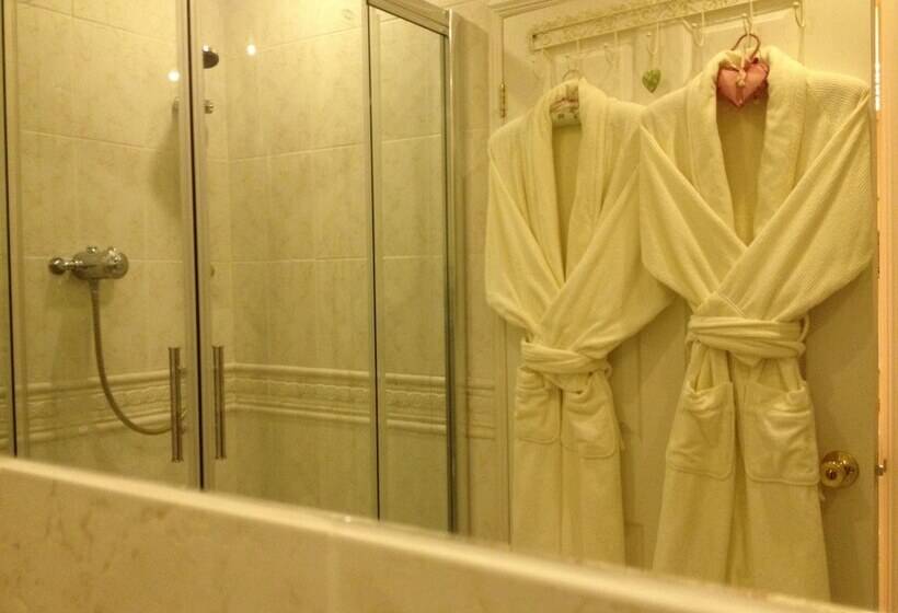 Snowdonia Snug   Studio Style Accommodation