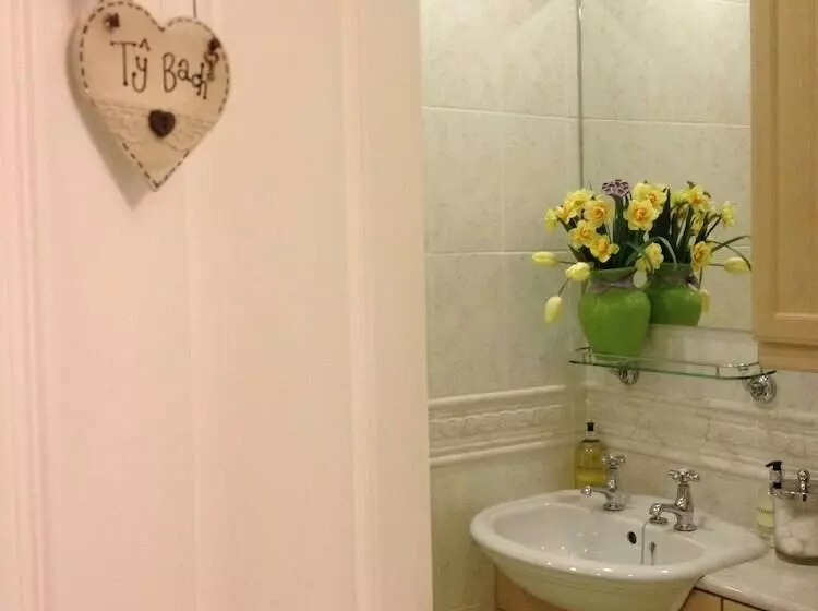 Snowdonia Snug   Studio Style Accommodation