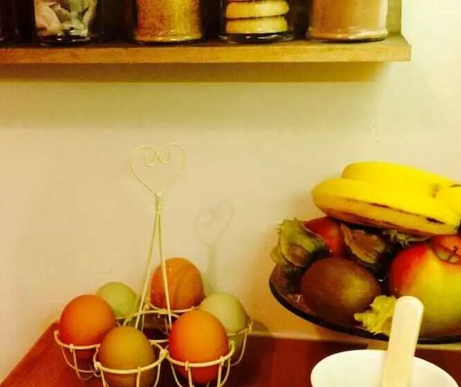 Snowdonia Snug   Studio Style Accommodation