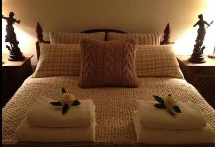 Snowdonia Snug   Studio Style Accommodation