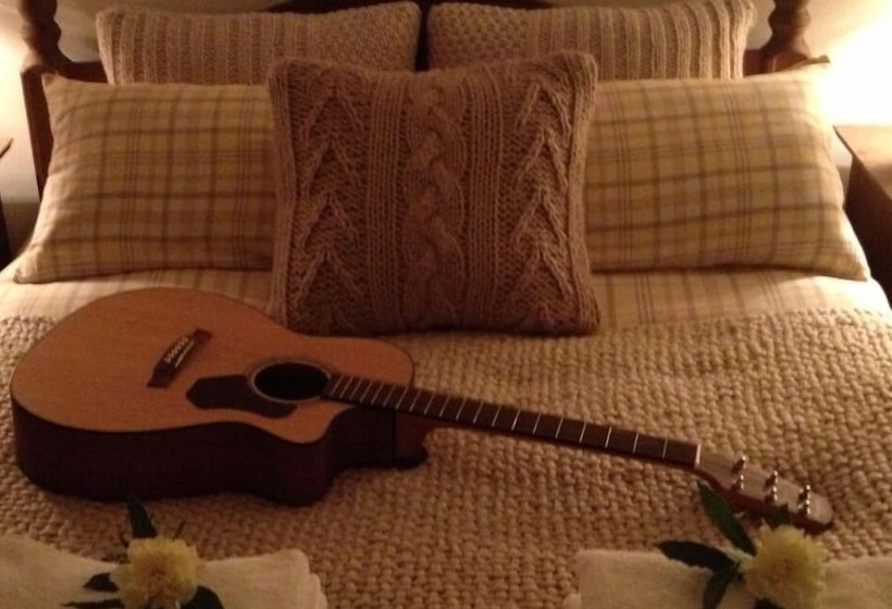 Snowdonia Snug   Studio Style Accommodation