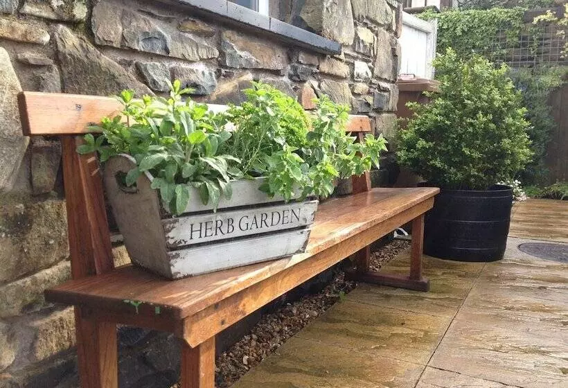 Snowdonia Snug   Studio Style Accommodation