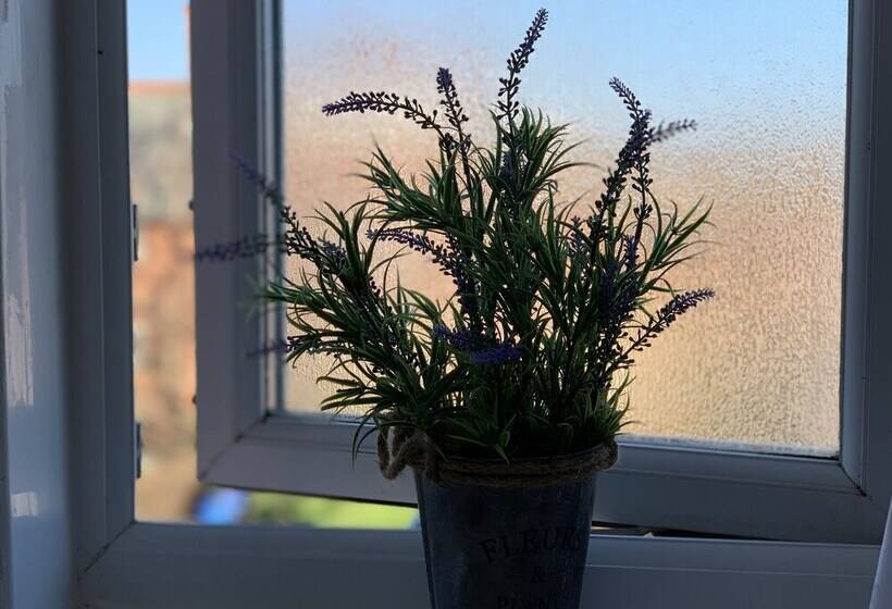 Eskdaill Place Apartment