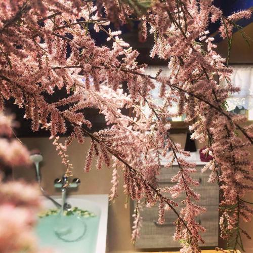 Le Petit Nid D Amour, Propriétés Mont Amour