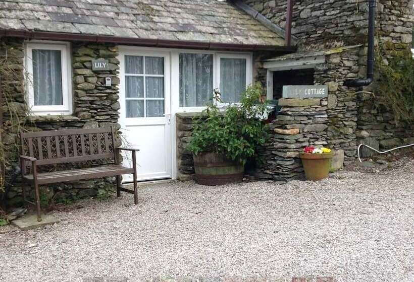 Low Jock Scar Country Estate