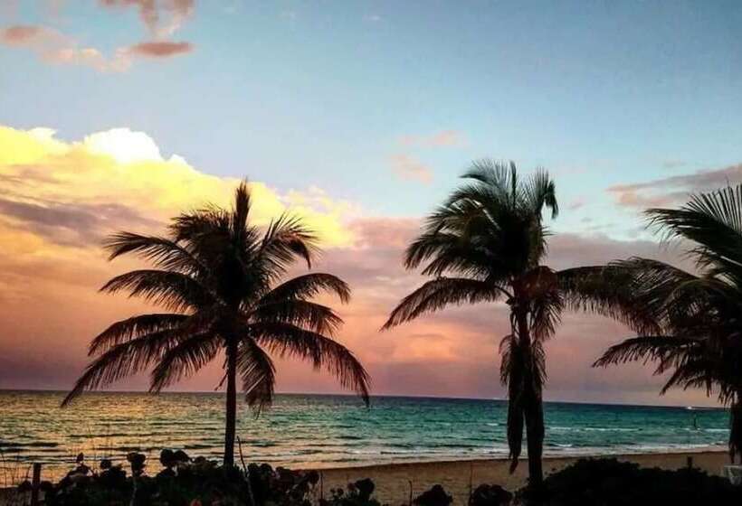 Beautiful Property In Hallandale Beach!!!