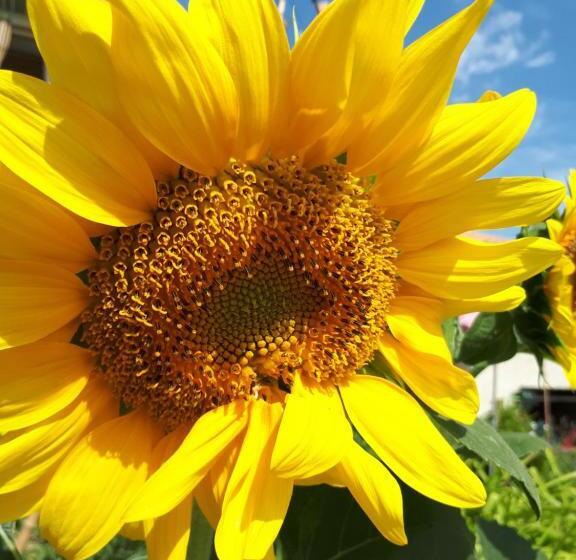 住宿加早餐  La Maison De Lalouette