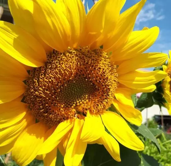 ベッドアンドブレックファースト La Maison De Lalouette