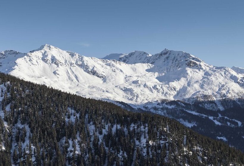 酒店 Hôtel Alparena & Spa 4 étoiles